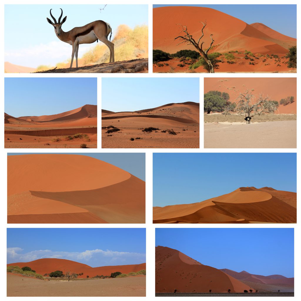 namibia04